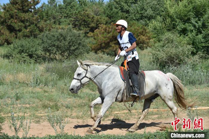 风中扬起的尘土：梁家四代在锡林郭勒草原的马